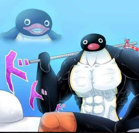 POV: you're Phoenix and told Pingu to pvp